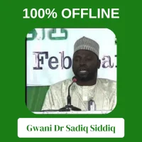 Gwani Sadiq Full Quran Offline